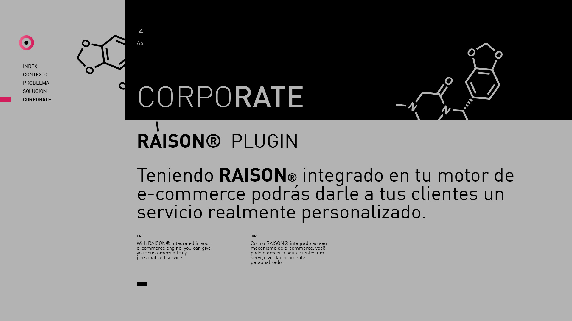 S_RAISON-14